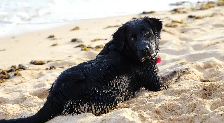 La Quinta de Maria Luisa