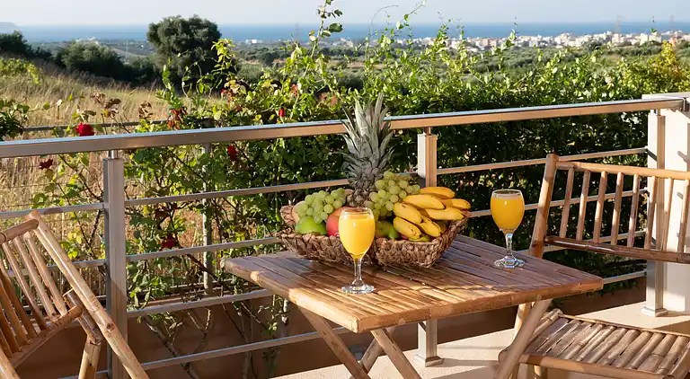 Villa David with private pool