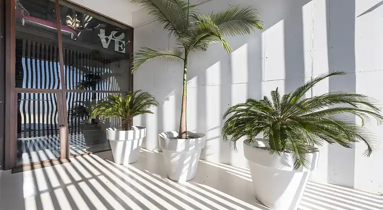 Villa a Barcellona in stile Ibiza con vista sul mare