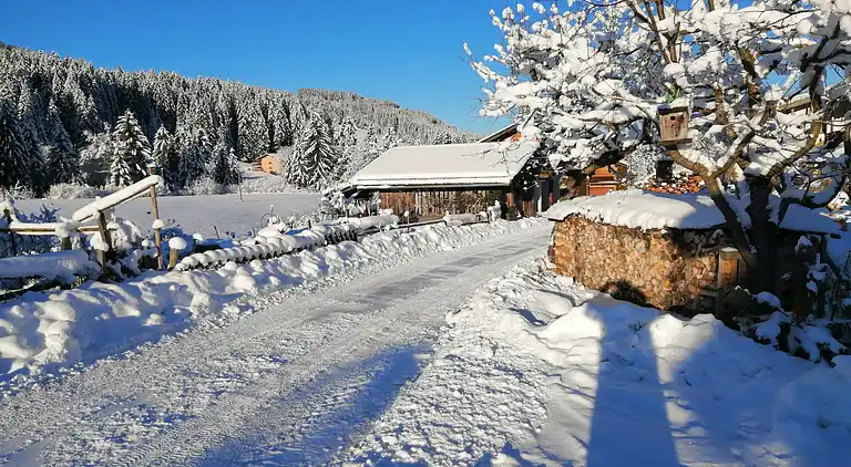 Appartamento in Bernau