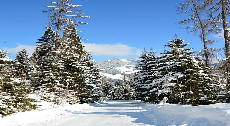 Appartamento in Bernau