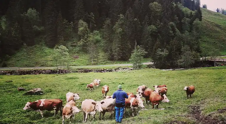 Appartamento in Bernau