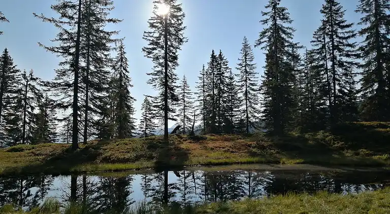 Appartamento in Bernau