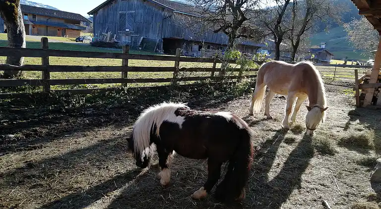 Appartamento in Bernau