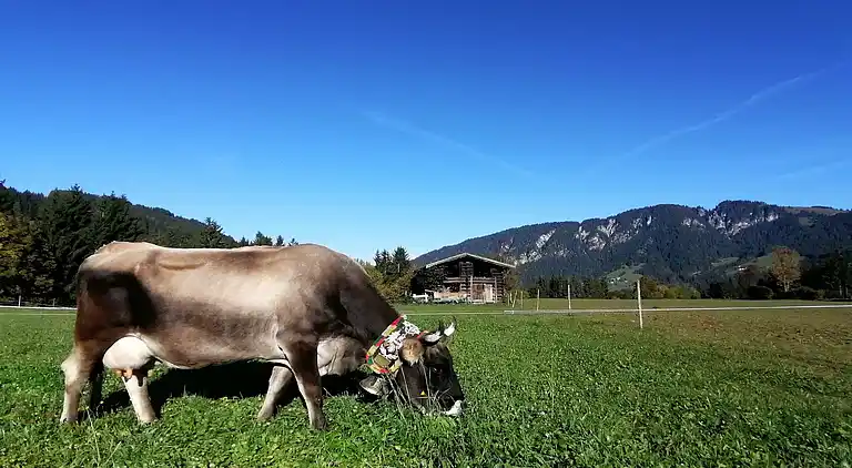 Appartamento in Bernau