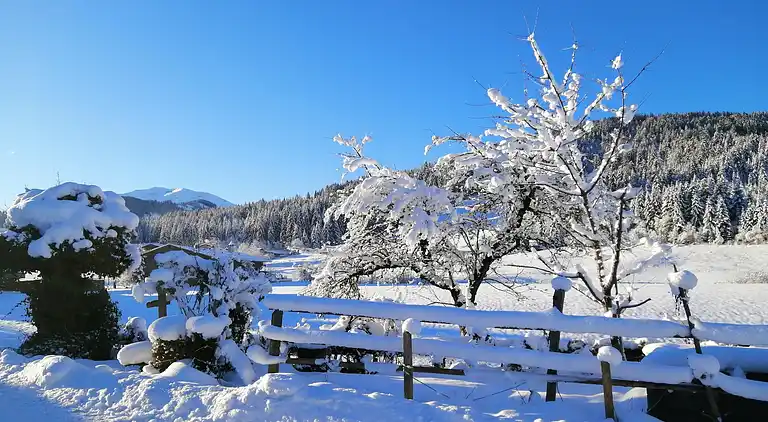 Appartamento in Bernau