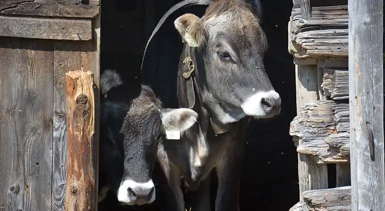 Appartamento in Bernau