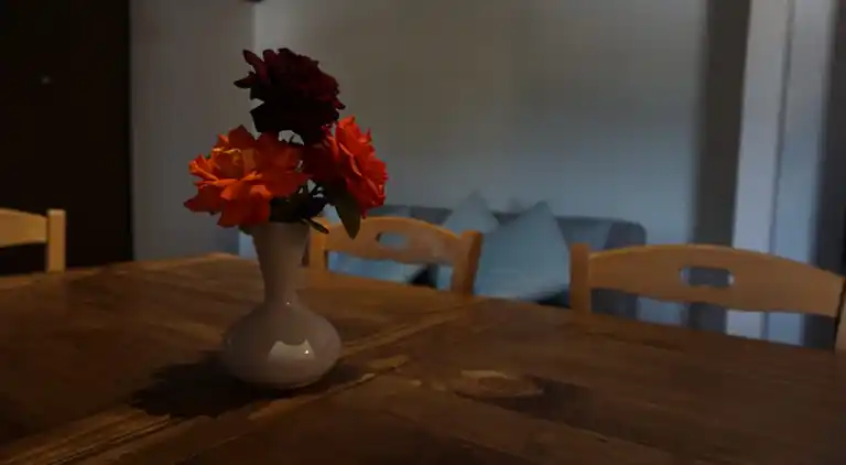 SCAPPO IN UMBRIA, Casale delle stelle