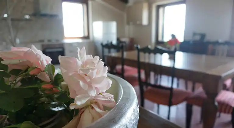 SCAPPO IN UMBRIA, Casale delle stelle