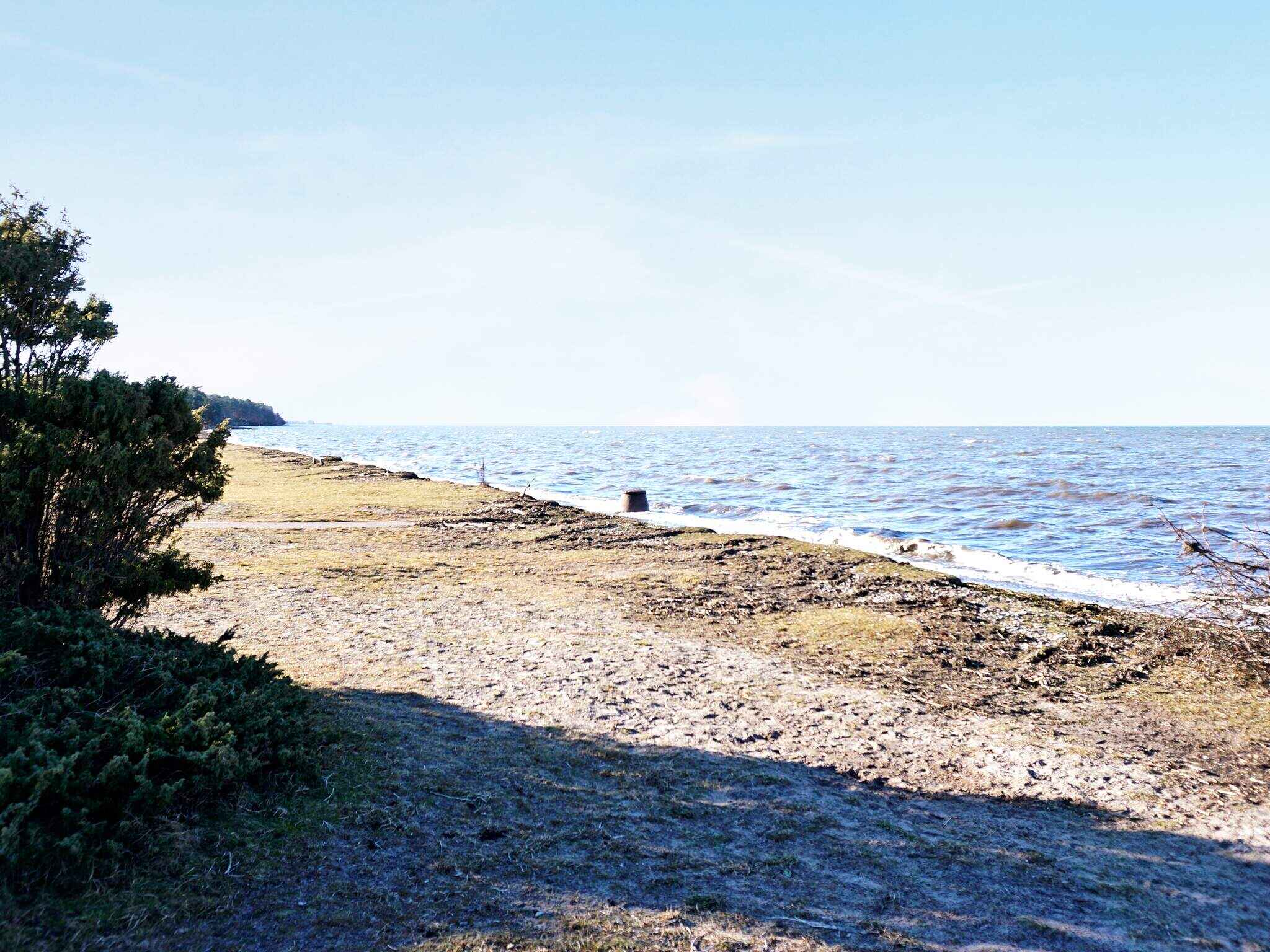 Large Image