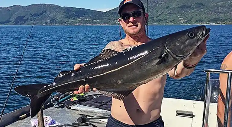 Vakantiehuis in Eidsvåg