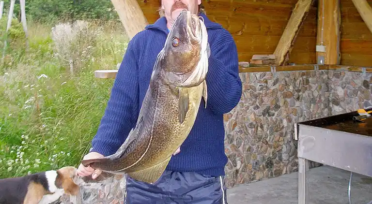 Vakantiehuis in Eidsvåg