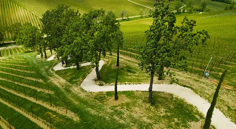 Sommerhus i Castel San Pietro Terme