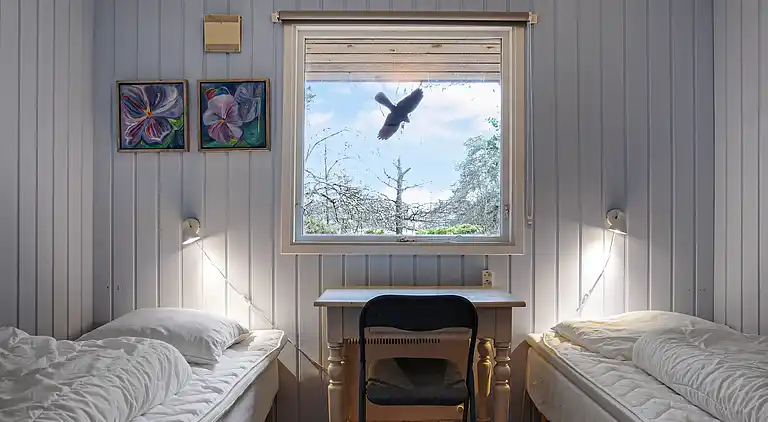 Dejligt sommerhus midt i skoven, tæt på vandet