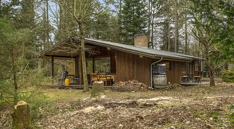 Dejligt sommerhus midt i skoven, tæt på vandet
