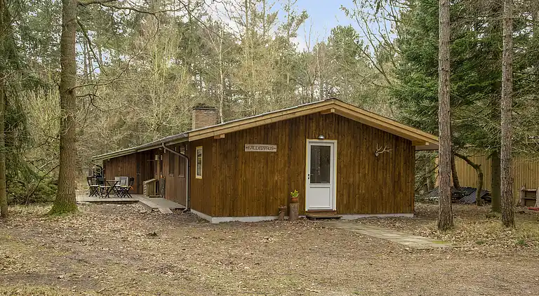 Dejligt sommerhus midt i skoven, tæt på vandet