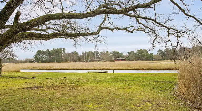 Dejligt sommerhus midt i skoven, tæt på vandet