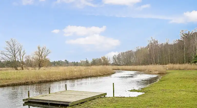 Dejligt sommerhus midt i skoven, tæt på vandet