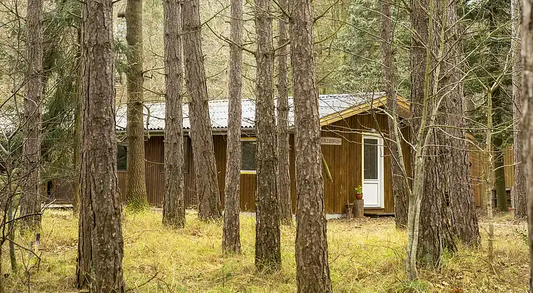 Dejligt sommerhus midt i skoven, tæt på vandet