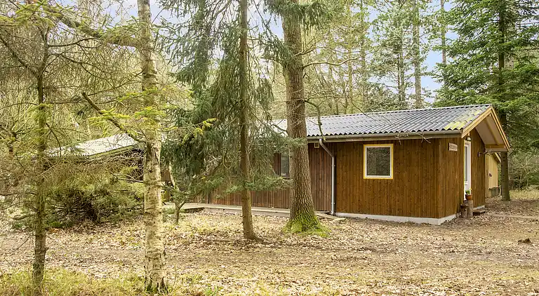 Dejligt sommerhus midt i skoven, tæt på vandet