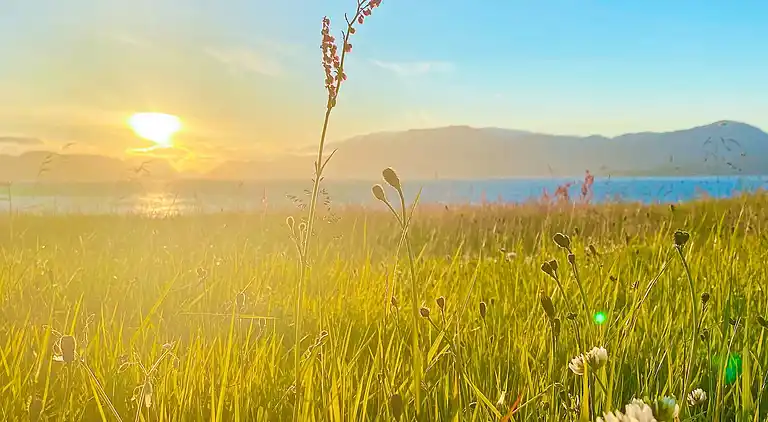 Holiday home in Rutledal