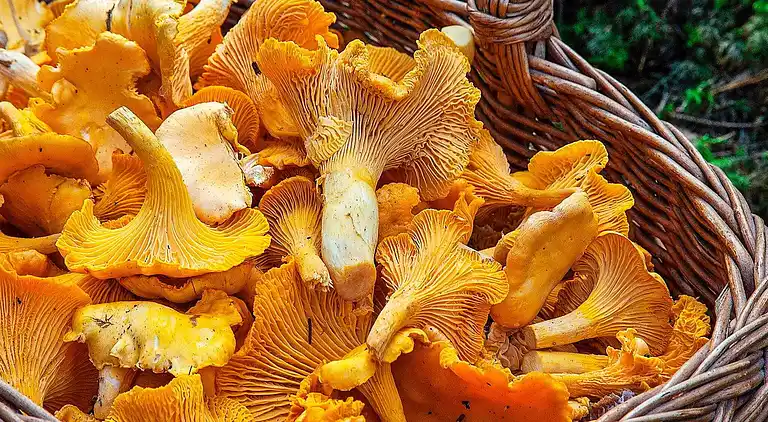 Sommerhus i Töreboda NO