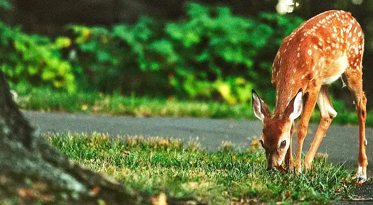 Sommerhus i Töreboda NO