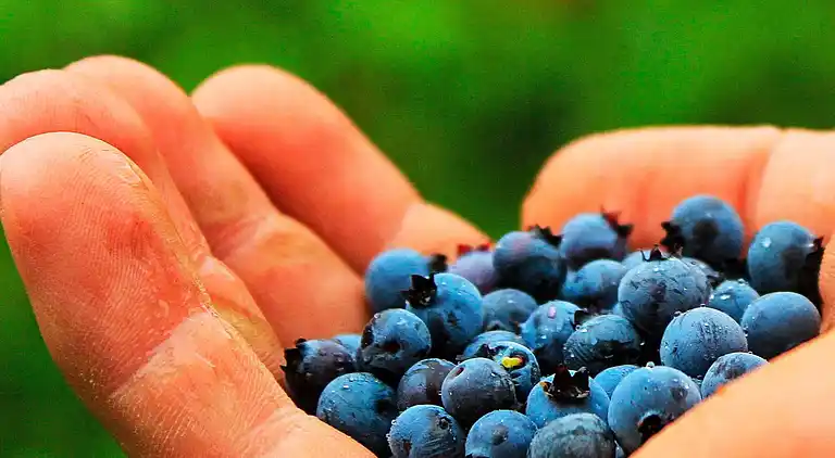 Sommerhus i Töreboda NO