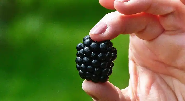 Sommerhus i Töreboda NO