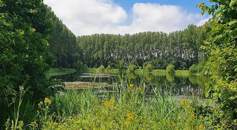 Holiday home in Koewacht