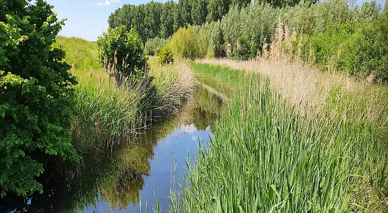 Holiday home in Koewacht