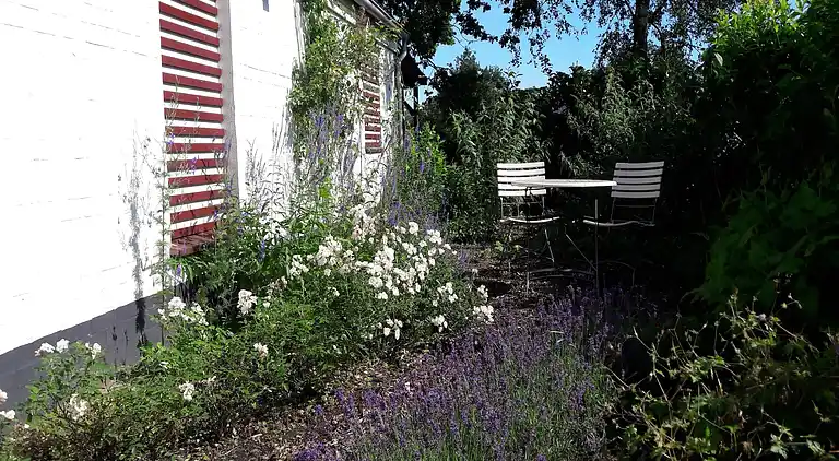 Holiday home in Koewacht