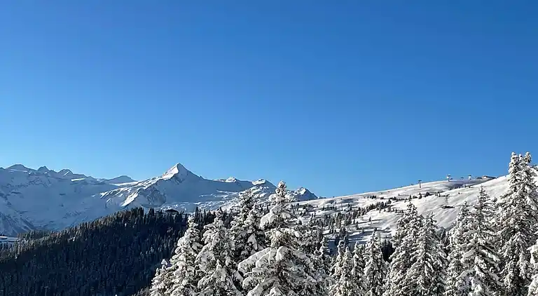 Apartment in Piesendorf