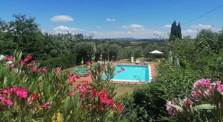 Apartments with swimming pool and good wine 