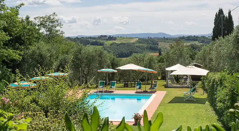 Apartments with swimming pool and good wine 