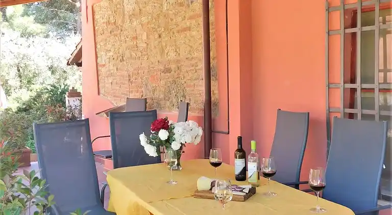 Apartments with swimming pool and good wine 