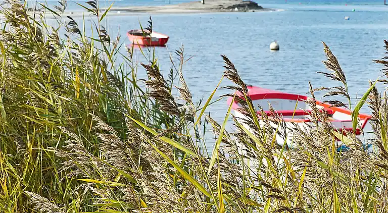 Holiday home in Wendtorf