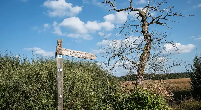 Cottage in Robertville