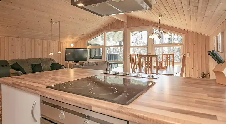 Sommerhus i Fjerritslev