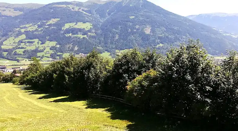 Apartment in Pankrazberg