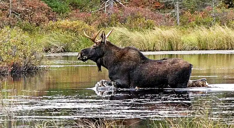 Semesterbostad i Kungsbacka