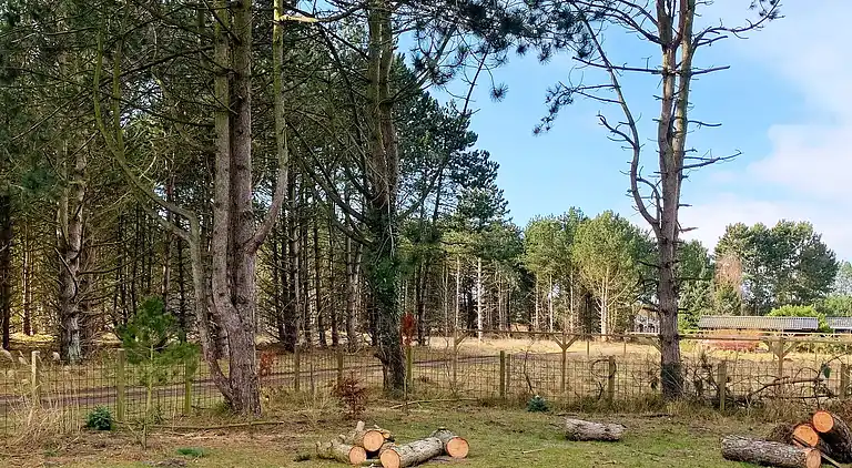 Holiday home in Rødby