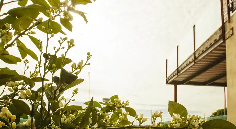 Herregård i Crestatx