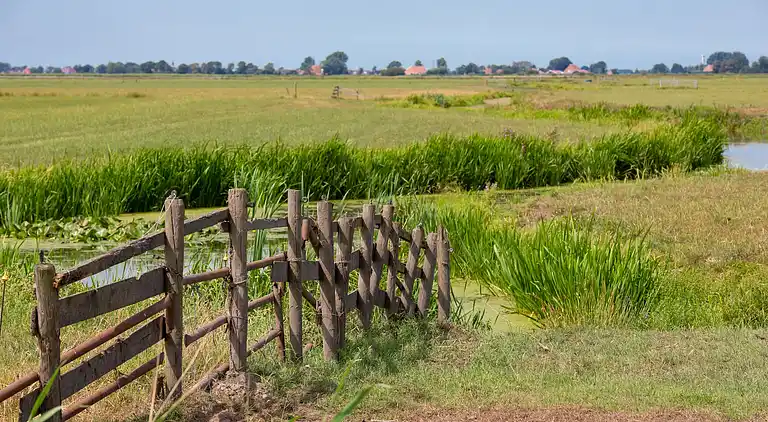 Ferienhaus in Terherne