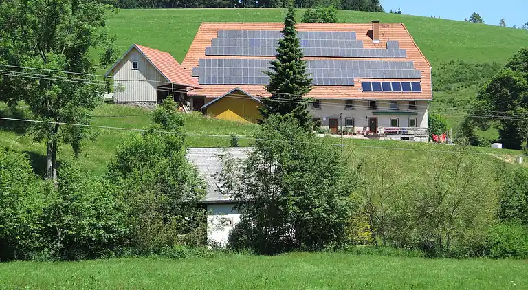 Vakantiehuis in Brigach