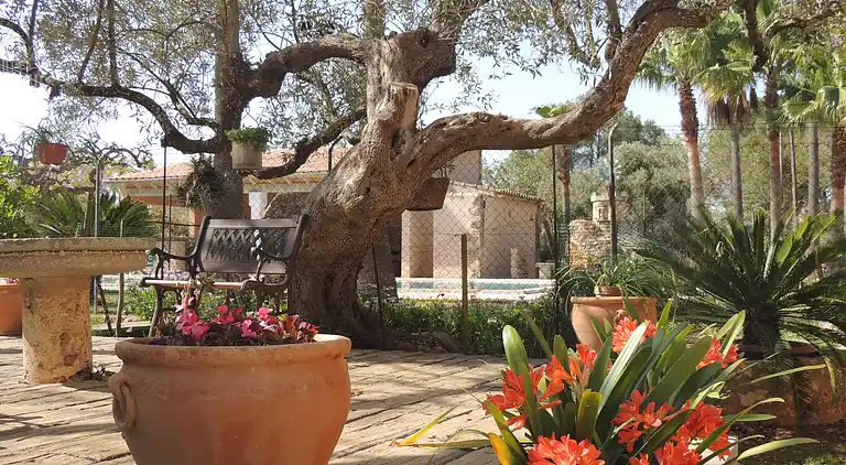 Charming Majorcan-style villa with private pool