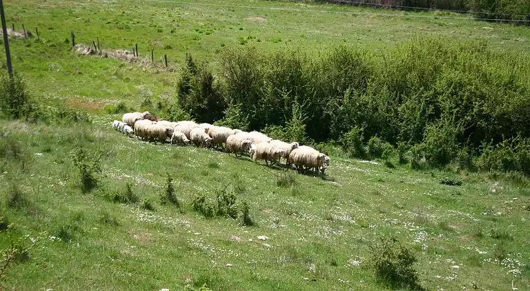 Gårdhus i Passignano sul Trasimeno
