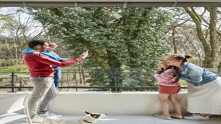 Ferielejlighed i Houthalen-Helchteren