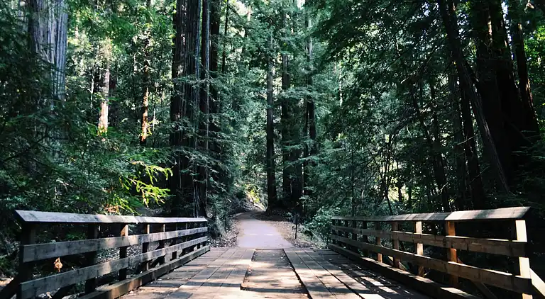 Ferielejlighed i Houthalen-Helchteren