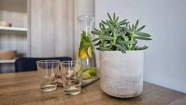 Ferielejlighed i Blankenberge